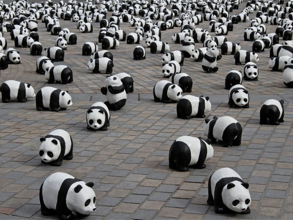 4496998946_d872c74d02_o