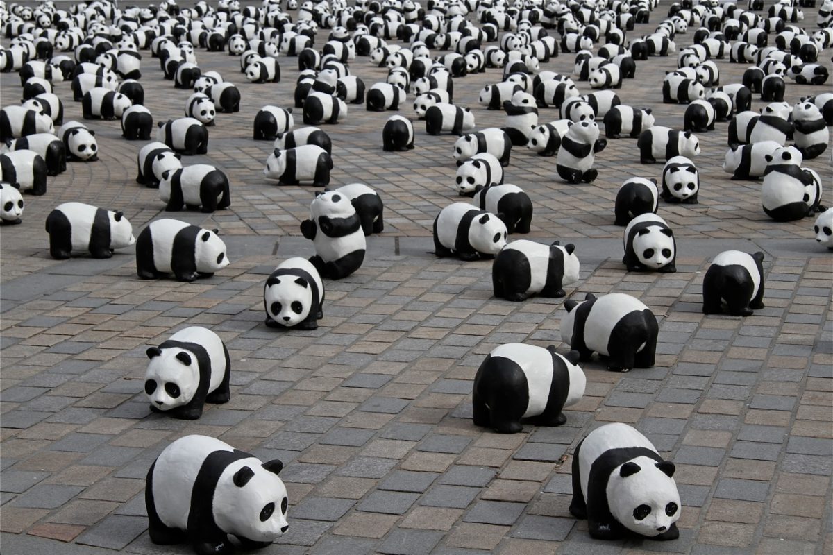 4496998946_d872c74d02_o