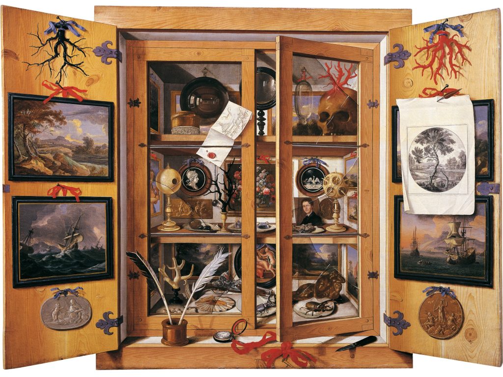 domenico_remps_-_cabinet_of_curiosities
