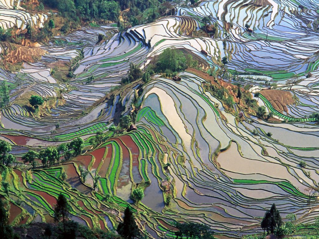 Terrace_field_yunnan_china_denoised