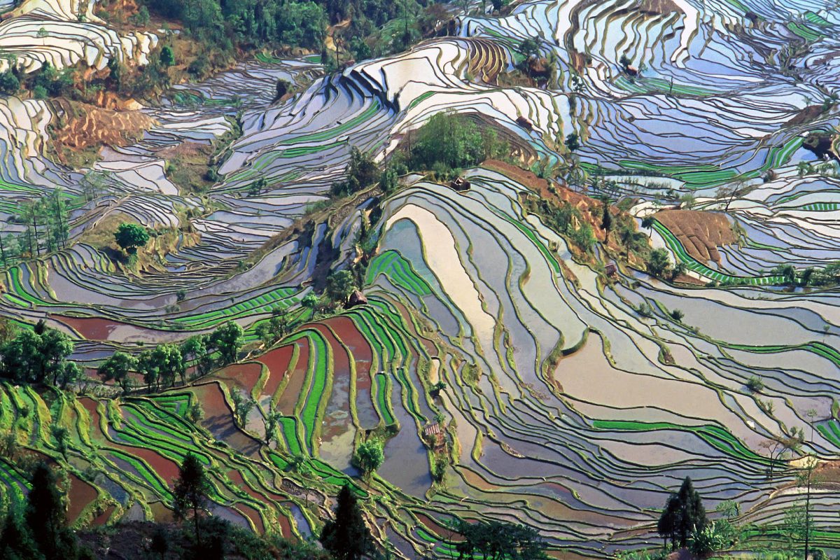 Terrace_field_yunnan_china_denoised