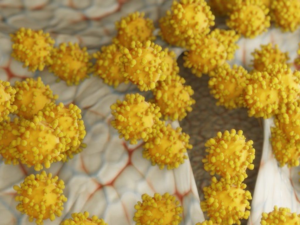 covid-19-4938583_960_720 - Copy